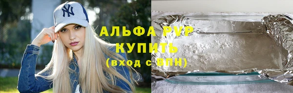 твердый Вяземский