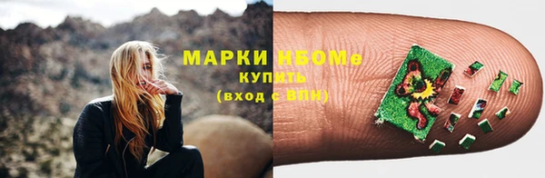 твердый Вяземский