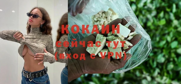 твердый Вяземский