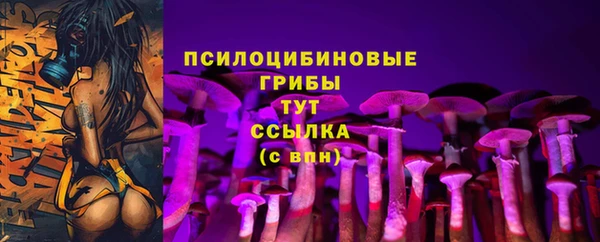 дмт Вязьма