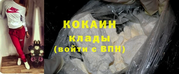твердый Вяземский