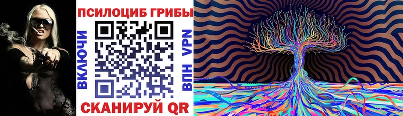 Галлюциногенные грибы Psilocybe  Купить где  Бахчисарай 